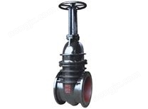 Z41W-10 中大口径